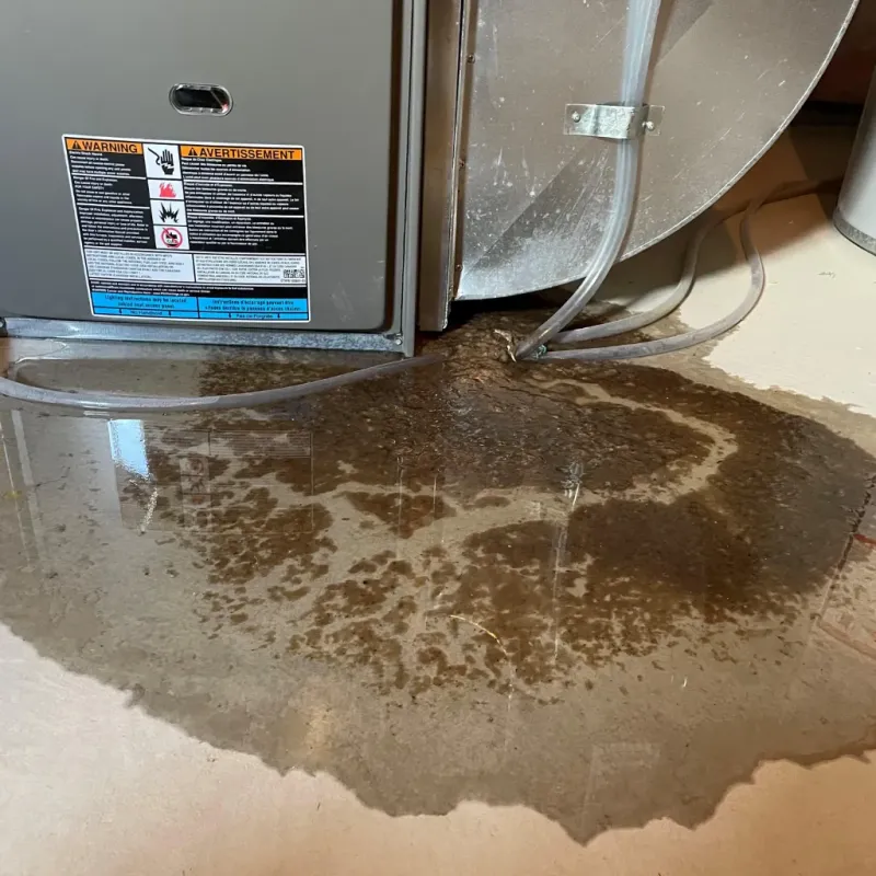 Appliance Leak Cleanup in Luverne, AL